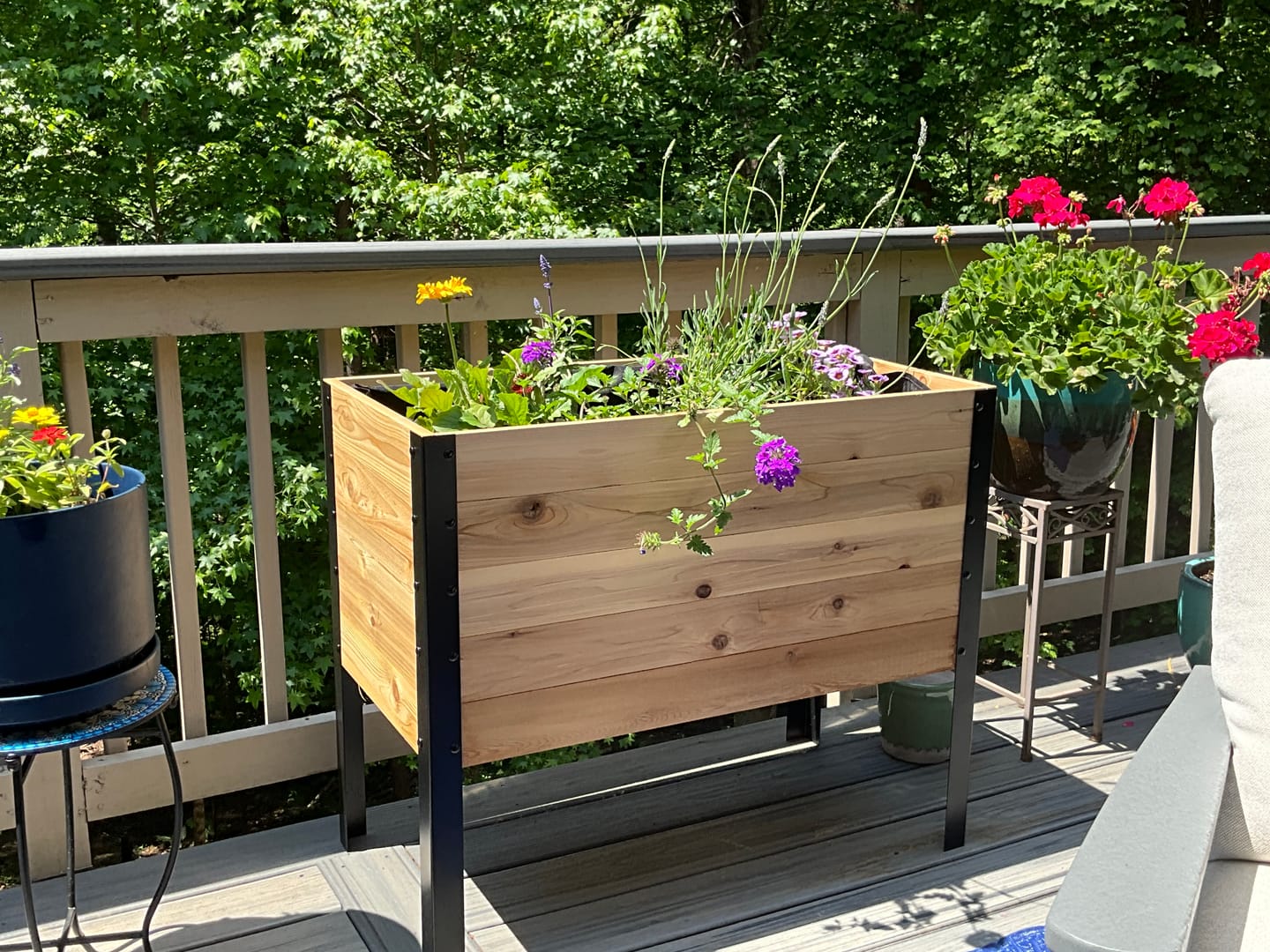 Customer photo review of 18" x 36" Raised Garden Bed - 30" TALL / Garden Grade