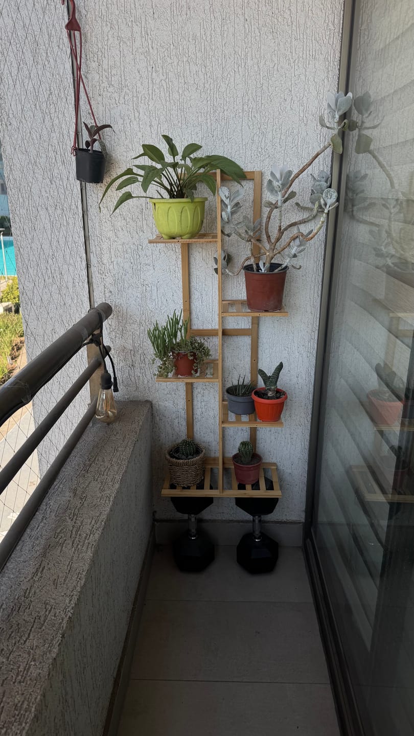 Customer photo review of Soporte para Plantas de 5 Niveles y 7 Niveles Estante Organizador de Macetas