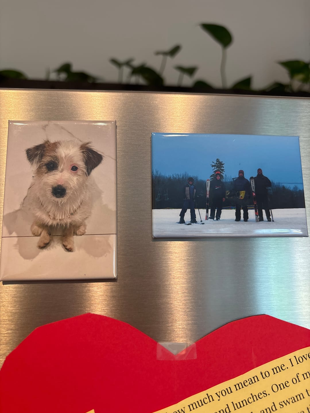 Customer photo review of Fridge Photo Magnets