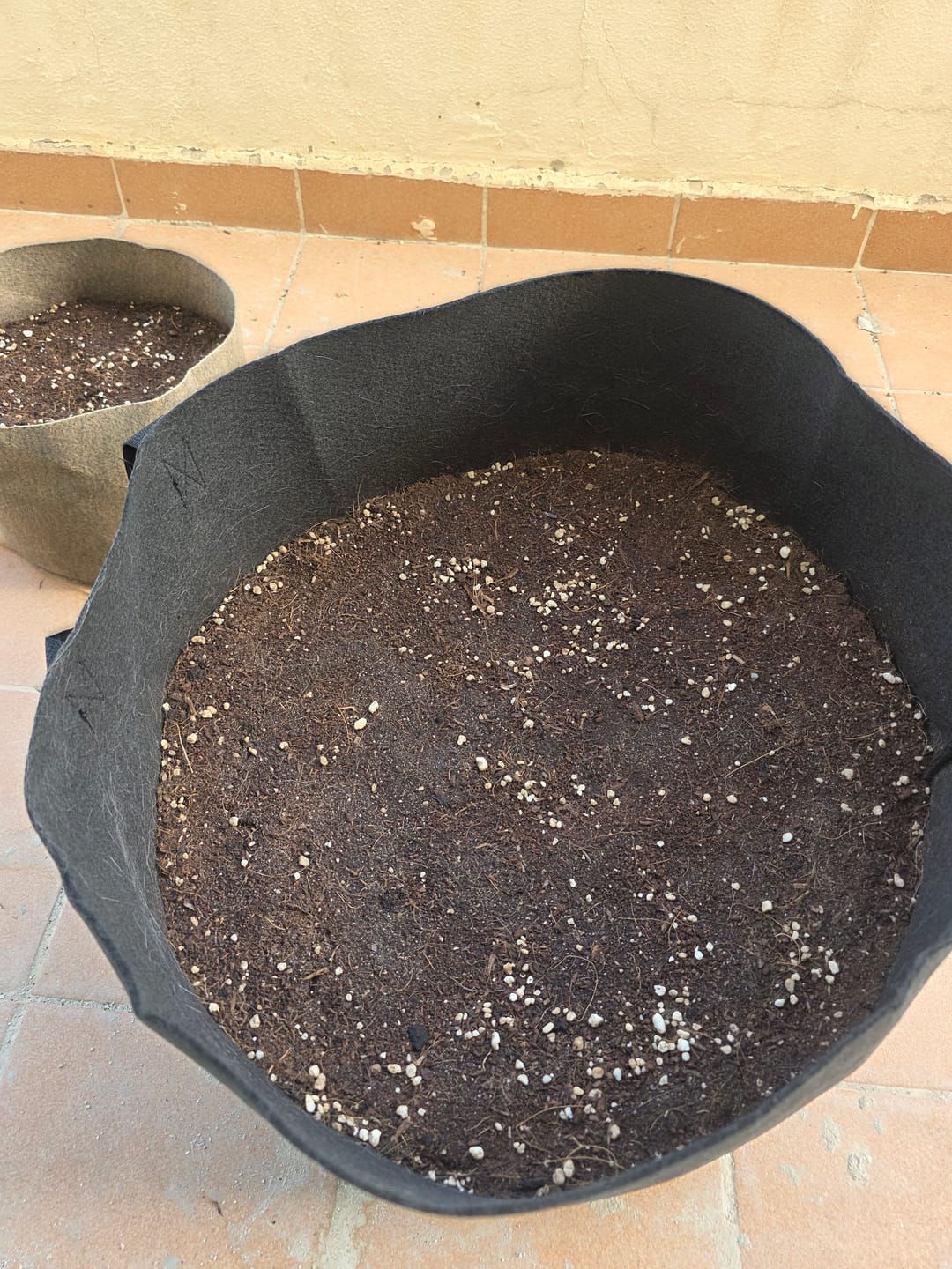Customer photo review of Potting Soil Mix