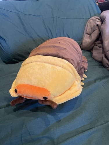 Customer photo review of Rubber Ducky Isopod Plush – Soft and Realistic Stuffed Animal for Nature Enthusiasts