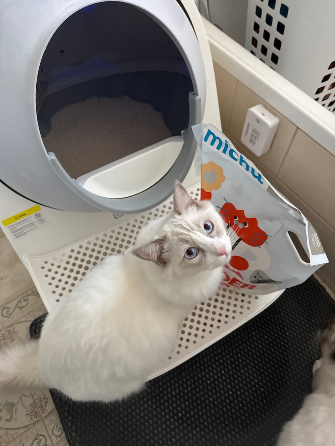 Customer photo review of Michu Wonder Litter - Plant-Based & Automatic-Box Friendly 2.5kg/6L