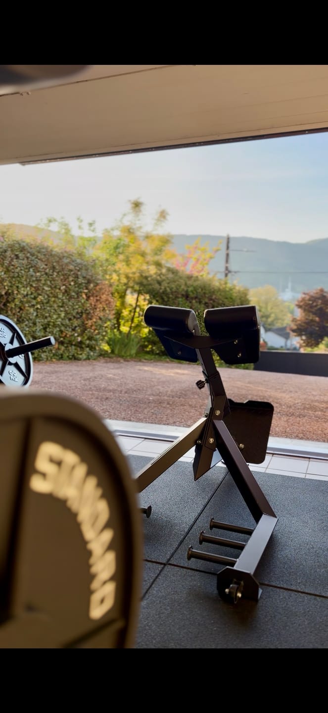 Customer photo review of Riot Commercial Heavy Duty Hyperextension Bench