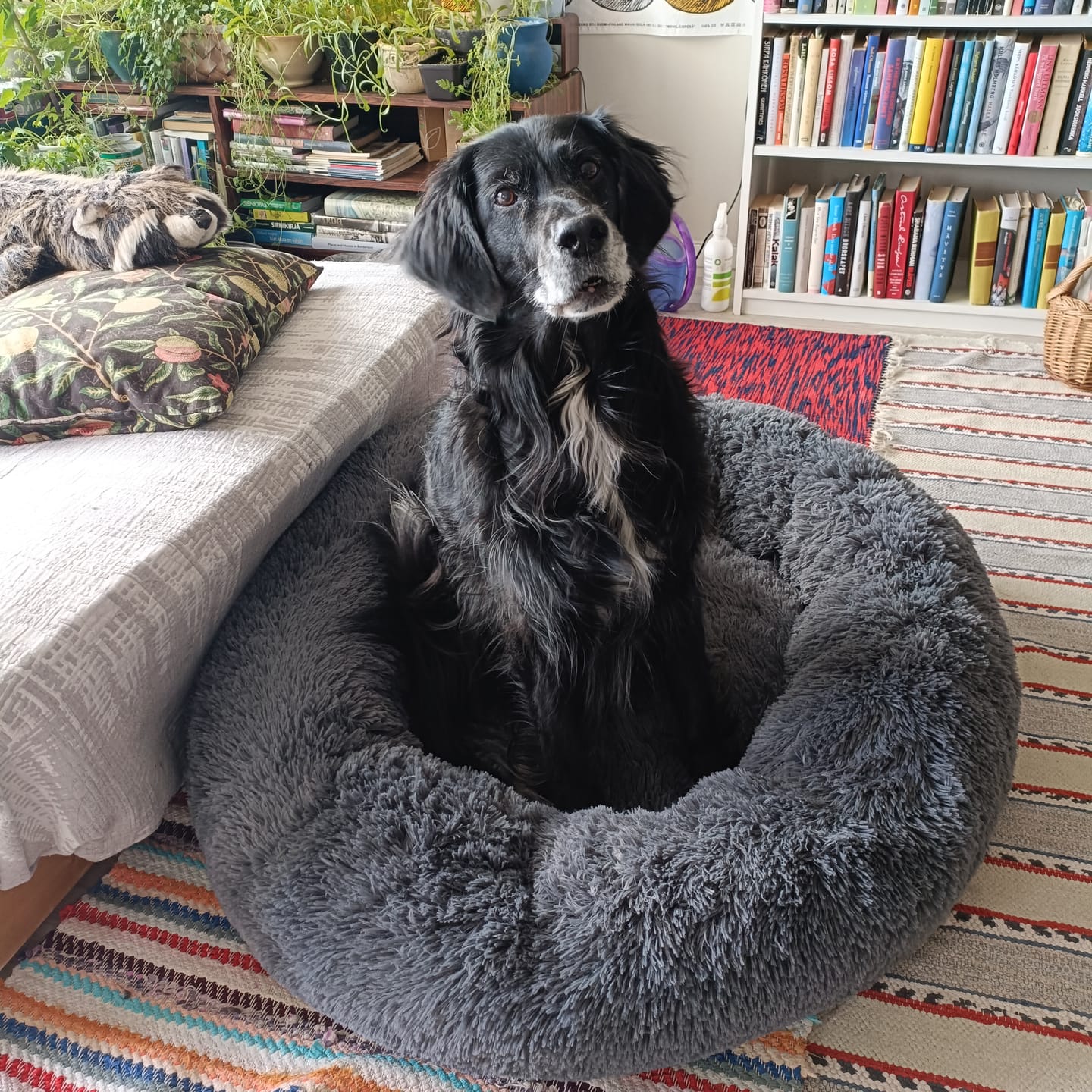 Customer photo review of CalmBed - Motvirker stress & hjelper mot angst