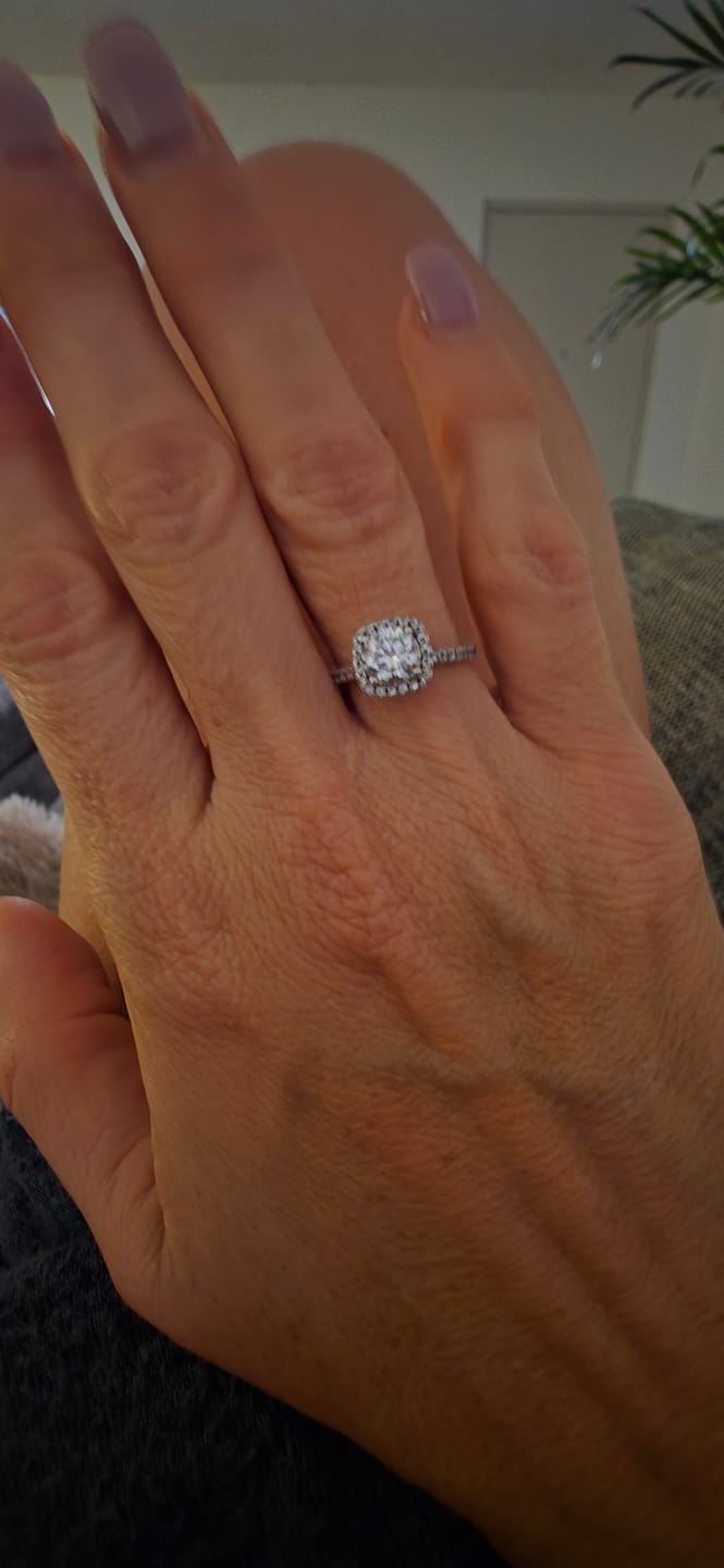 Customer photo review of Transit Protection