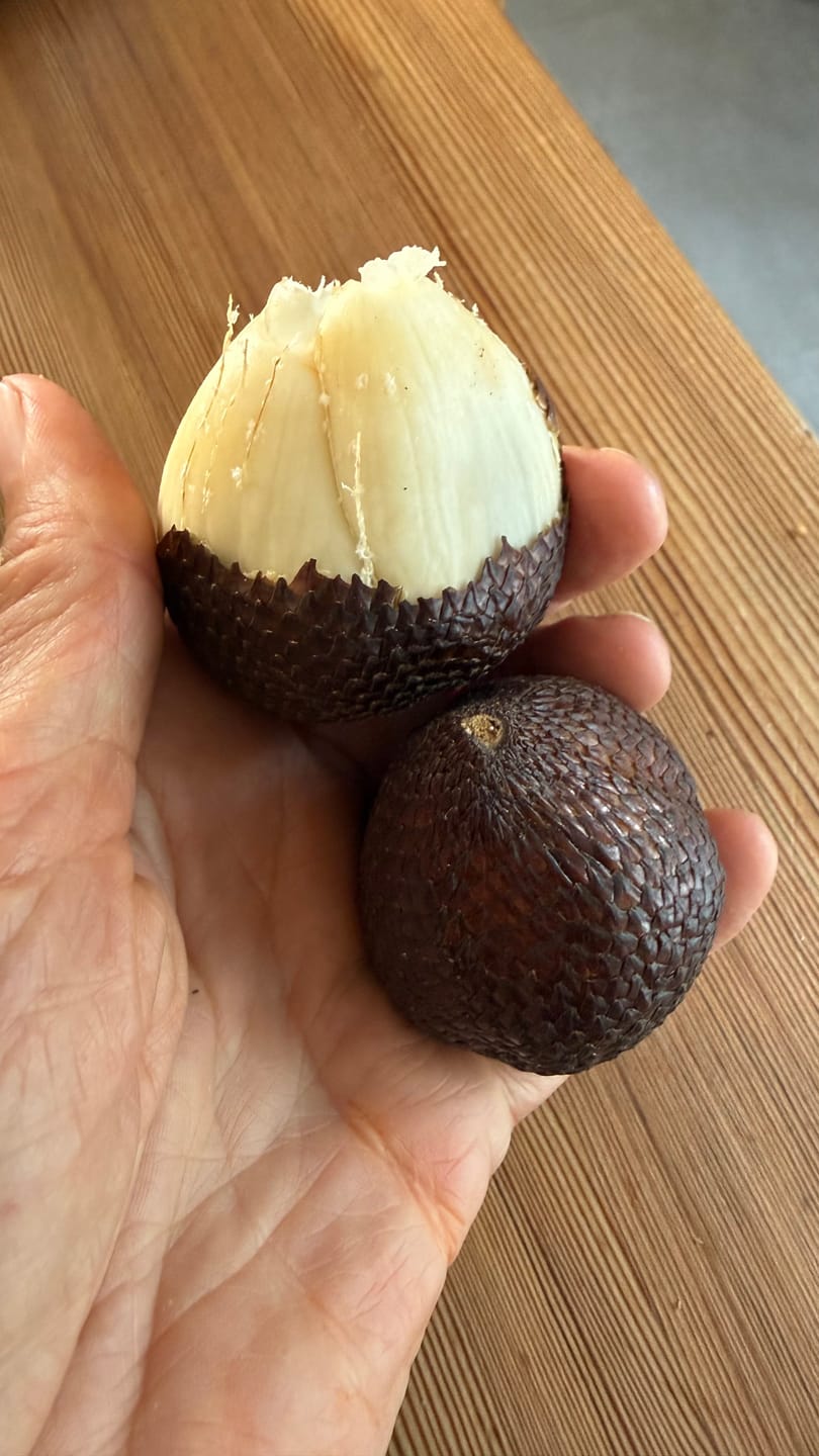 Customer photo review of Salak (Schlangenfrucht) naturbelassen