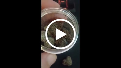 Customer video review of Granddaddy Purple 30% THCA