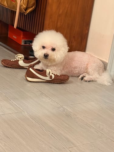 Customer photo review of Nike x Jacquemus Moon Shoe SP 'Fauna Brown' HV8547-200