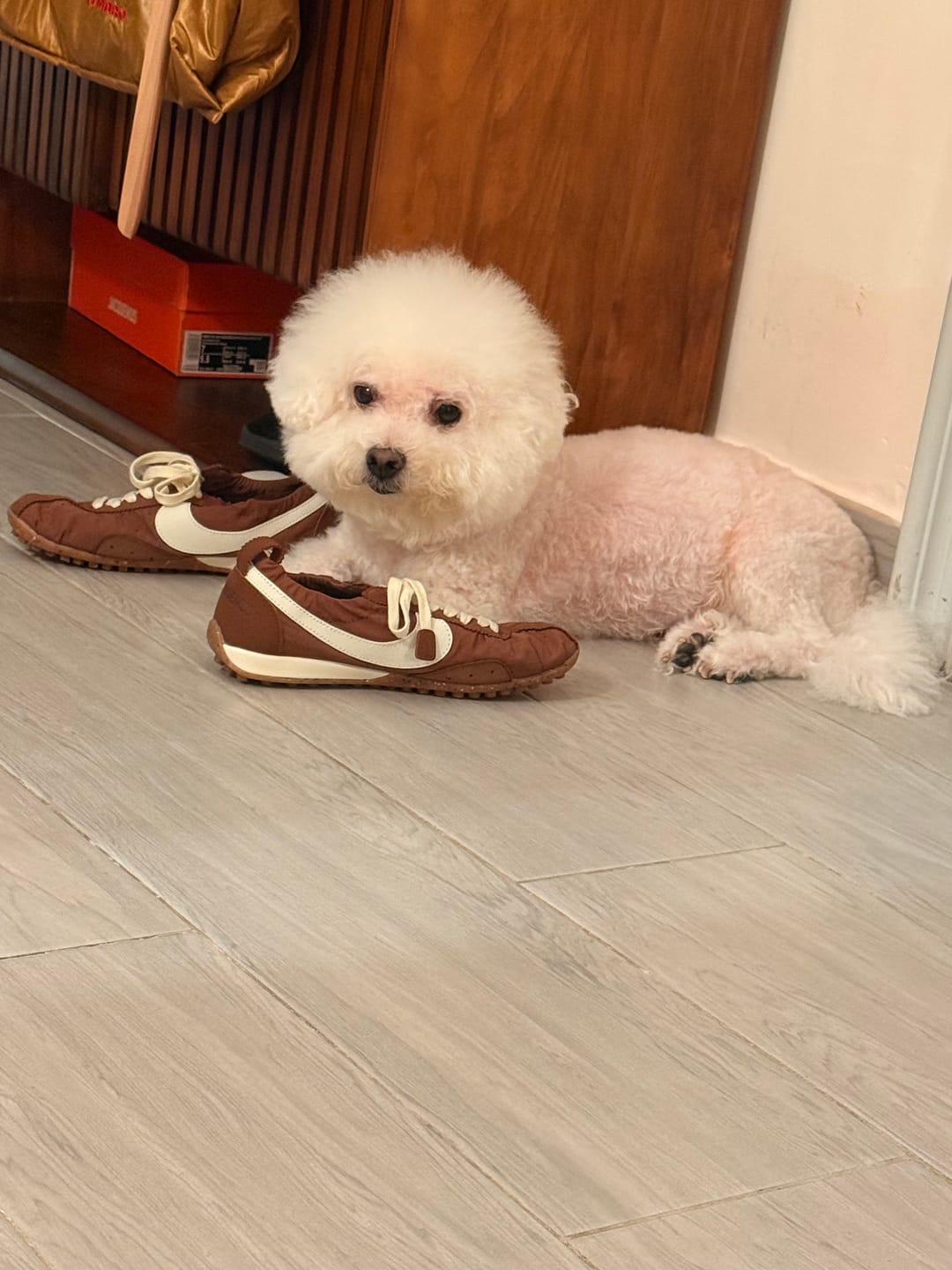 Customer photo review of Nike x Jacquemus Moon Shoe SP 'Fauna Brown' HV8547-200