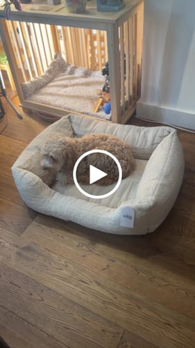 Customer video review of The Cosy Bed