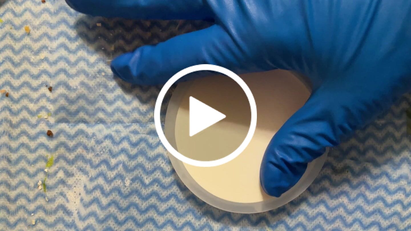 Customer video review of CeramiCast