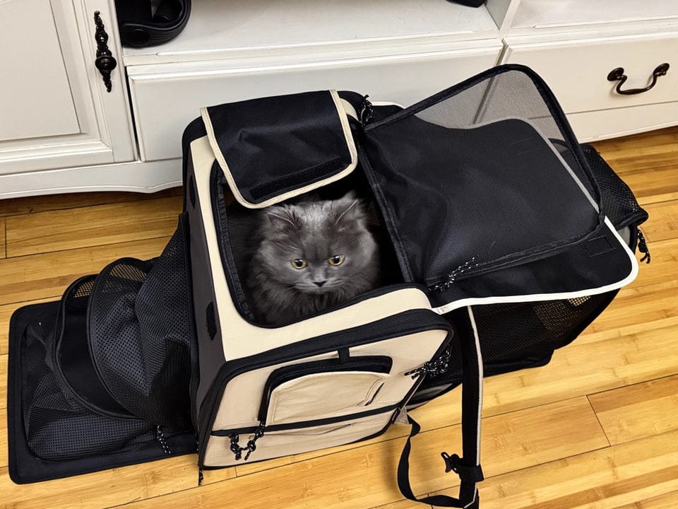 Customer photo review of Luxury Expandable Front and Rear Pet Travel Backpack Tent – Perfect for Multiple Cats, Large Cats, or Small Dogs