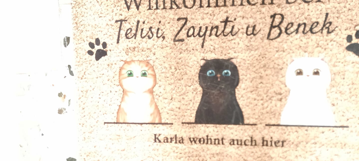 Customer photo review of "Hier wohnt" Fußmatte mit Katze personalisiert (1-4 Katzen)