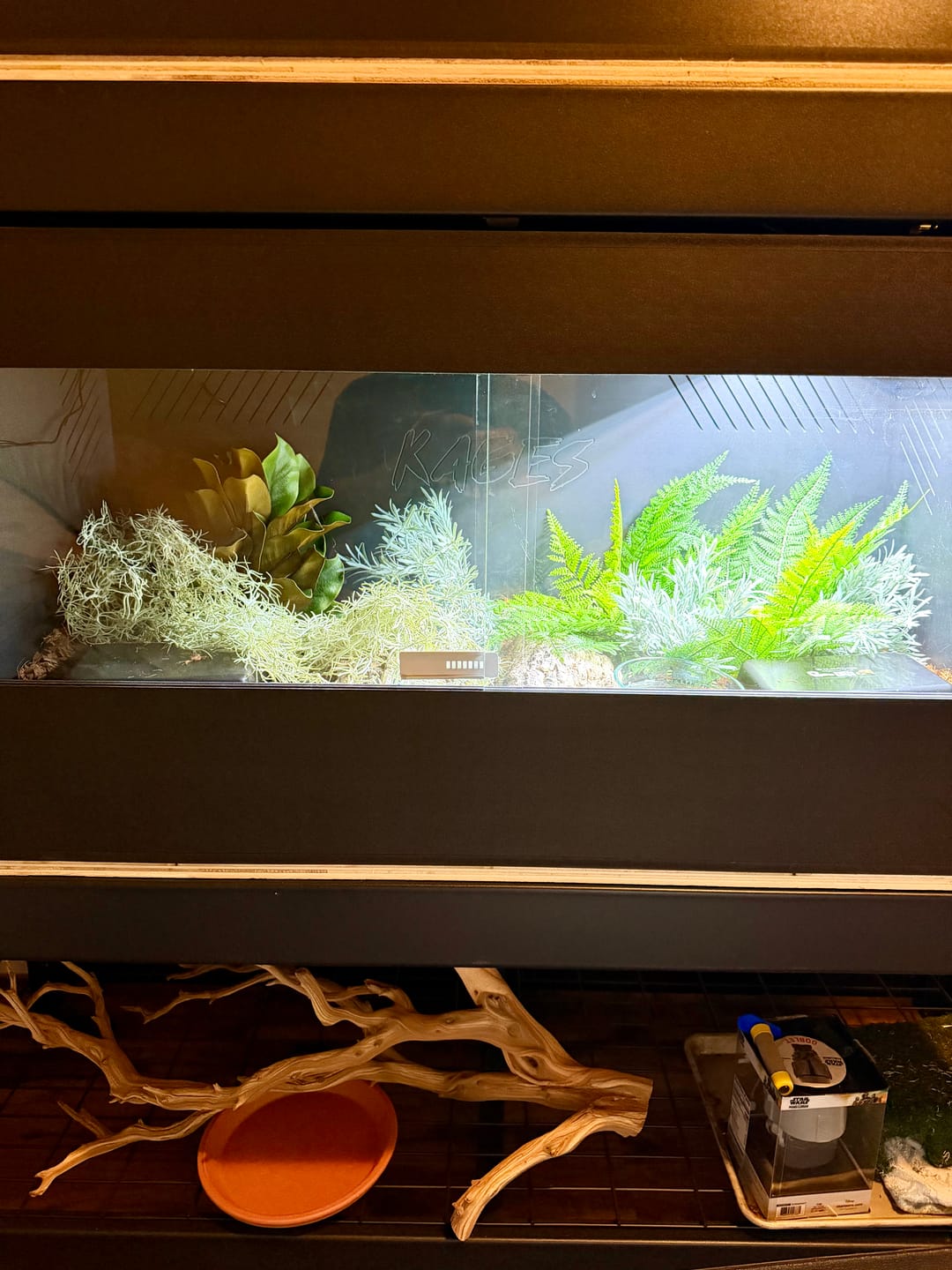Customer photo review of 48"x24"x24" / 4'x2'x2' Premium PVC Reptile Enclosure