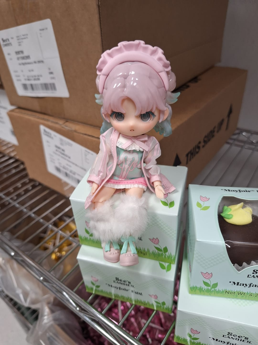 Customer photo review of Sales Promote Mystery Box Only $8.99【Slightly Package Damaged】