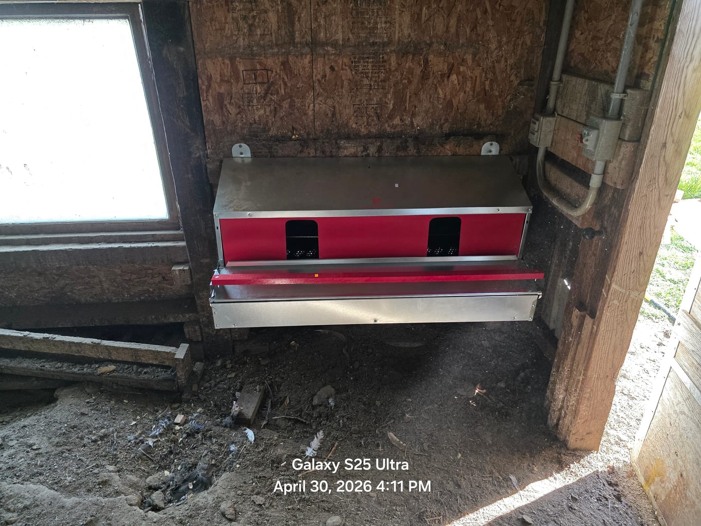 Customer photo review of Large (48") Reversible Roll-out Nest Box (Up to 50 Hens)
