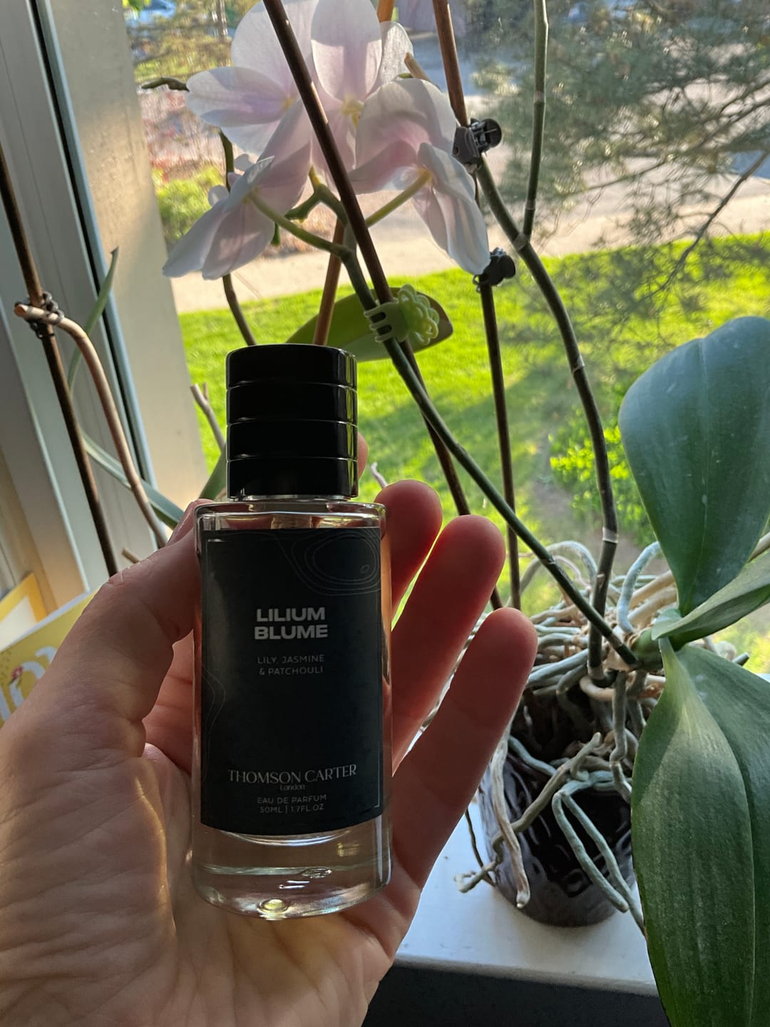 Customer photo review of Lilium Blume | Eau de Parfum