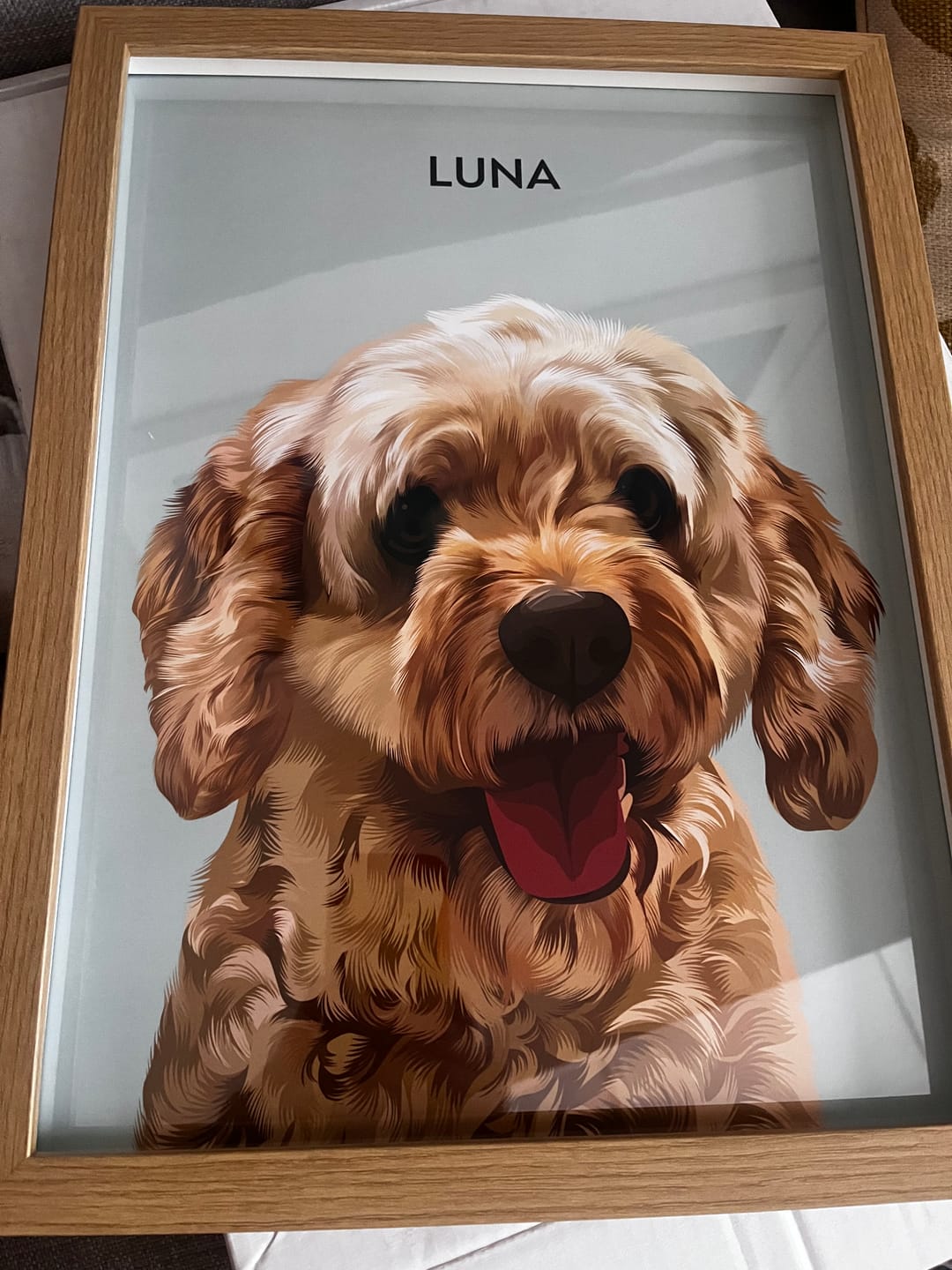 Customer photo review of 1 Pet