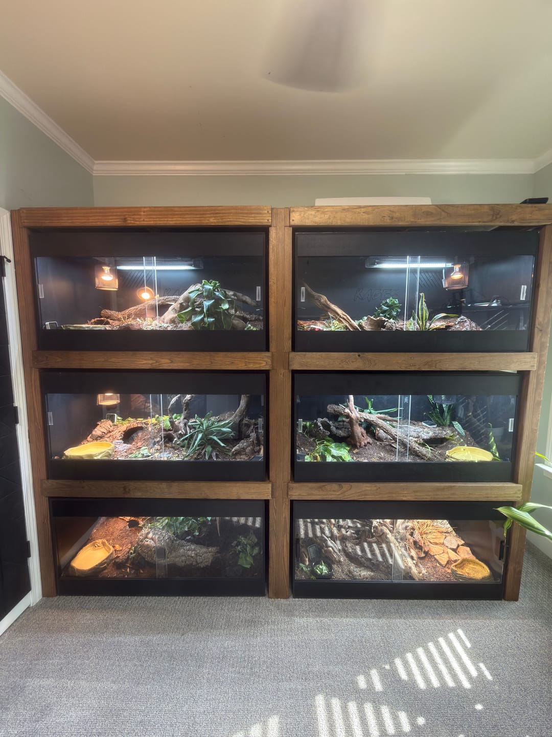Customer photo review of 48"x24"x24" / 4'x2'x2' Premium PVC Reptile Enclosure