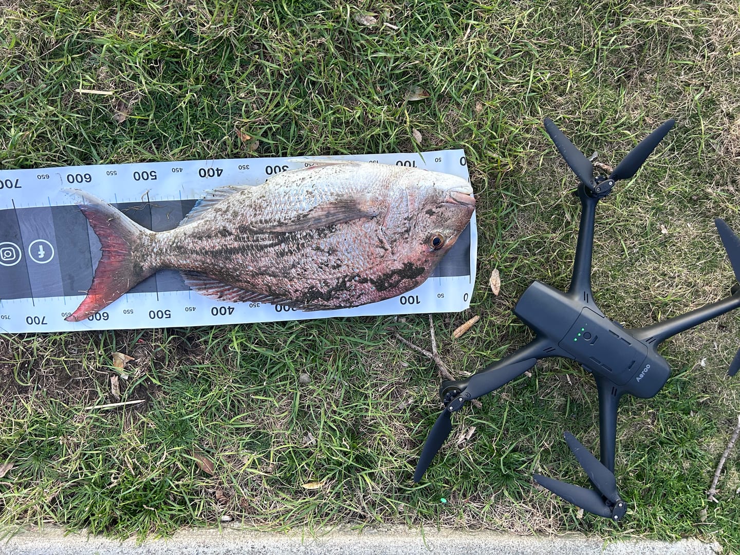 Customer photo review of Aeroo Pro Fishing Combo