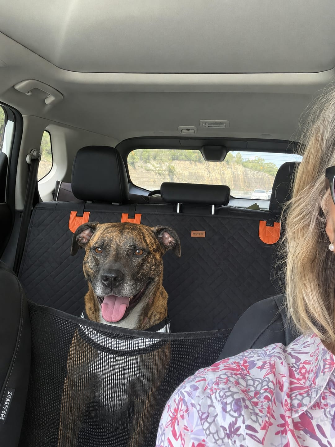 Customer photo review of Marlo&Co™ Dog Seat Cover