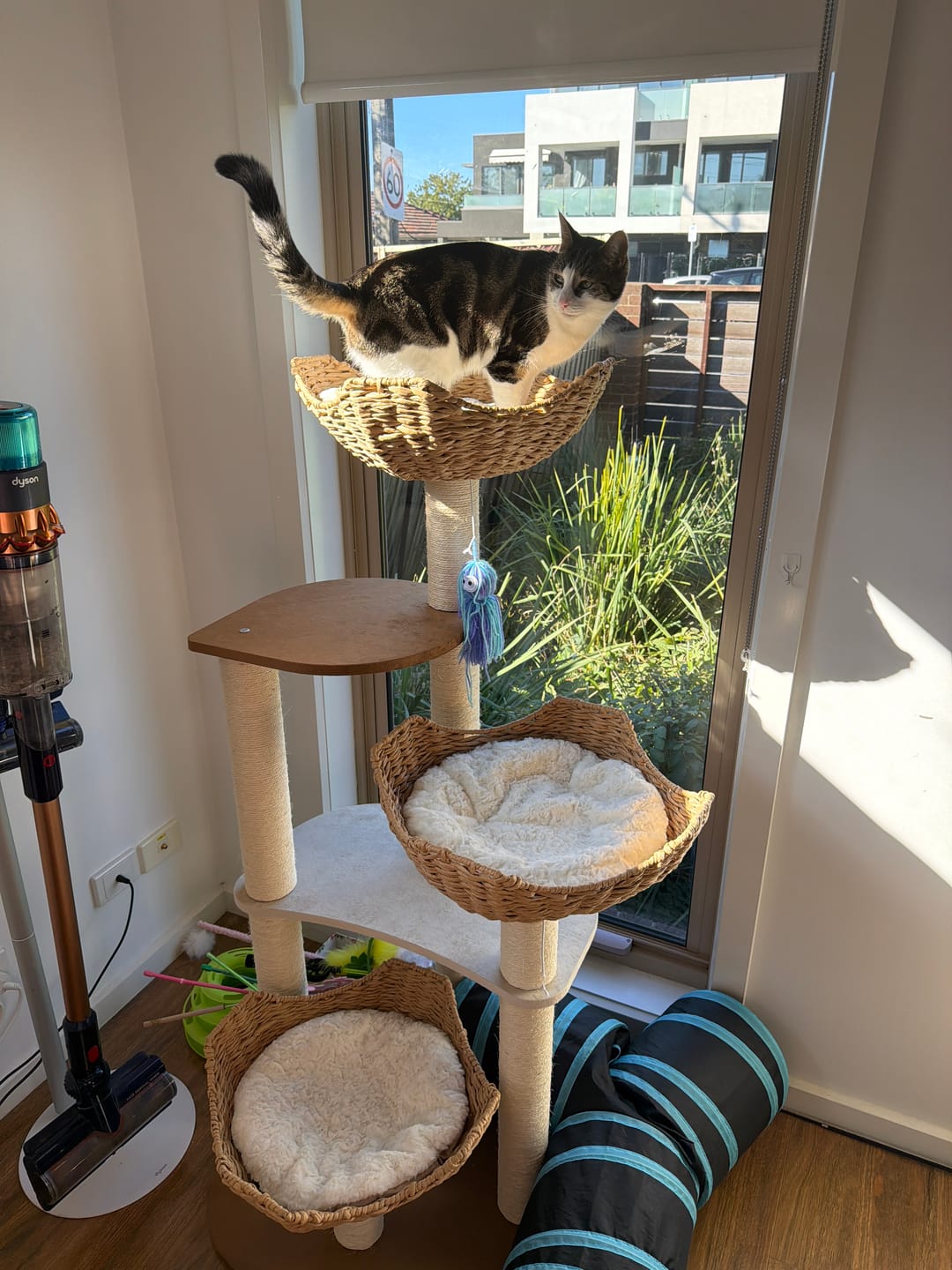 Customer photo review of Woven Rattan Multi-Level Cat Tree (K903) – 6 Tiers with Full Sisal Posts & Multi-Beds