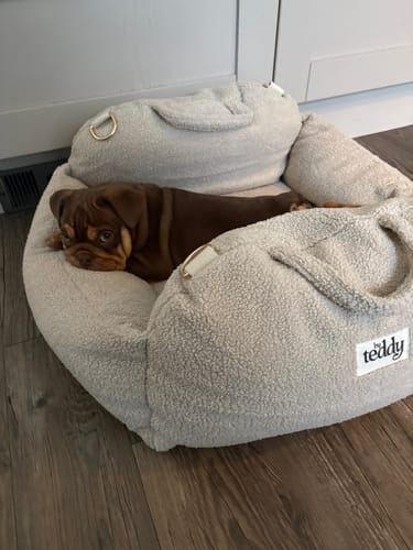 Customer photo review of Hazelnut | The Cosy Car Seat