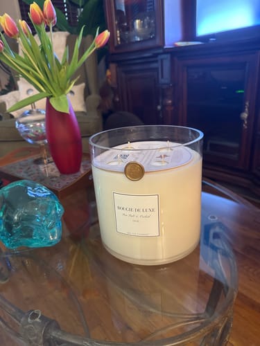 Customer photo review of Big Ass Candle - Sea Salt & Orchid - 300 oz