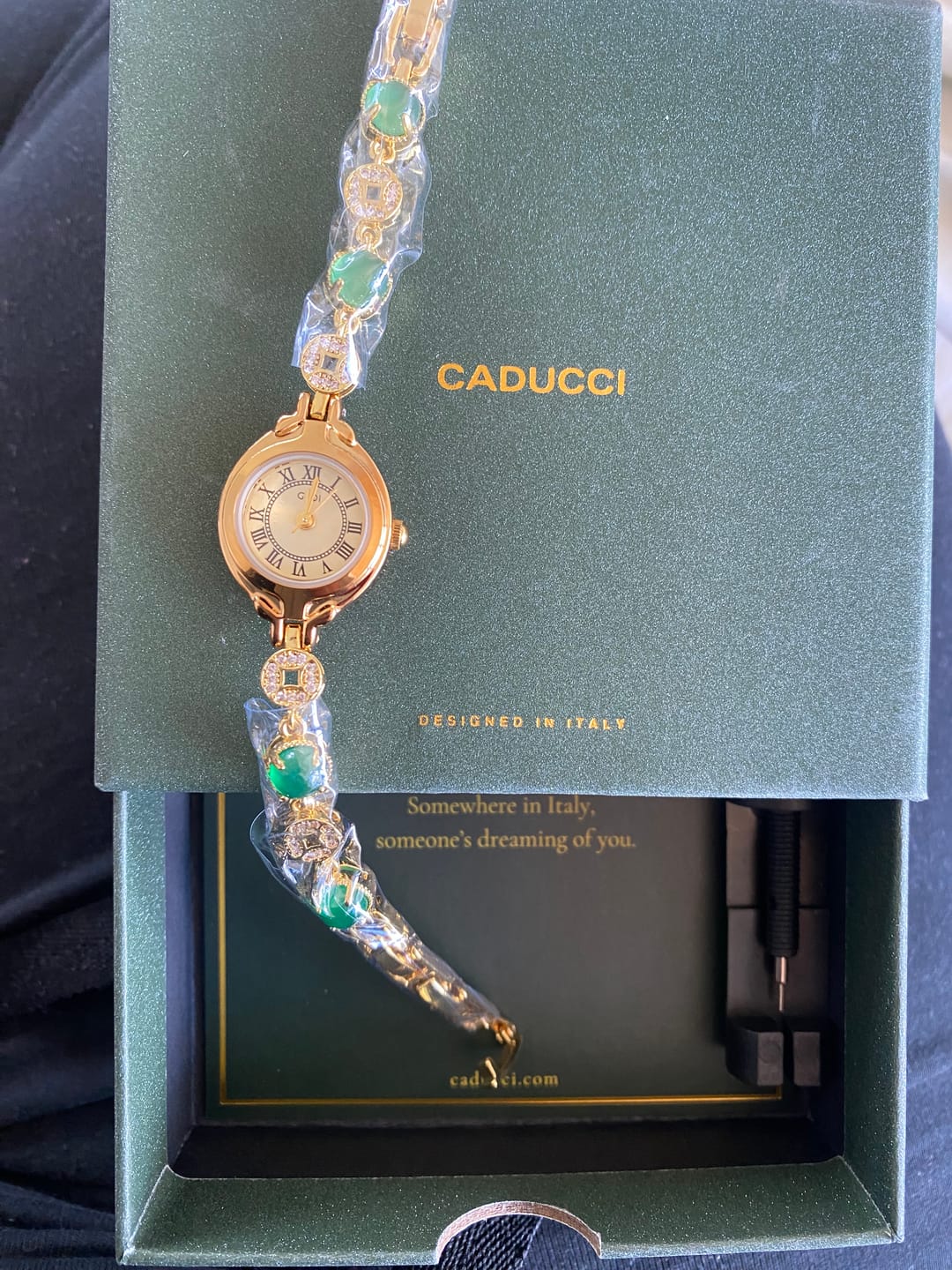 Customer photo review of Assisi Watch