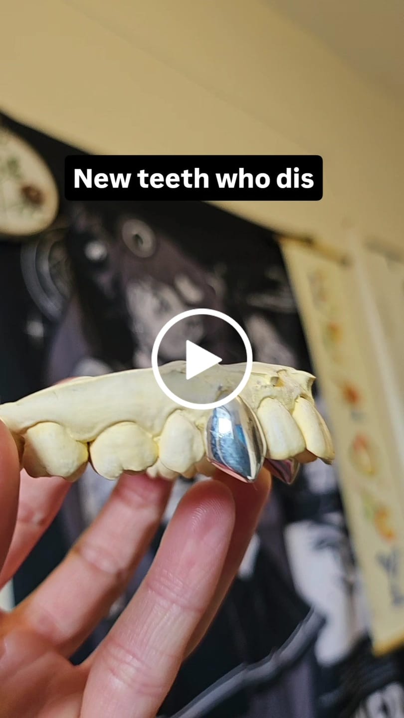 Customer video review of Vampire Canines