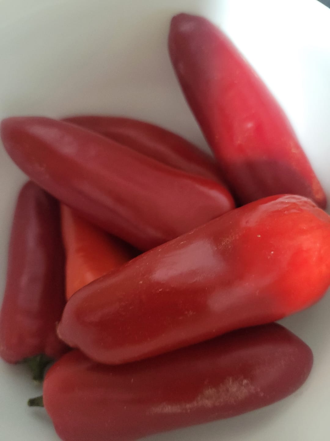 Customer photo review of FRISCHE JALAPENO ROT 200G