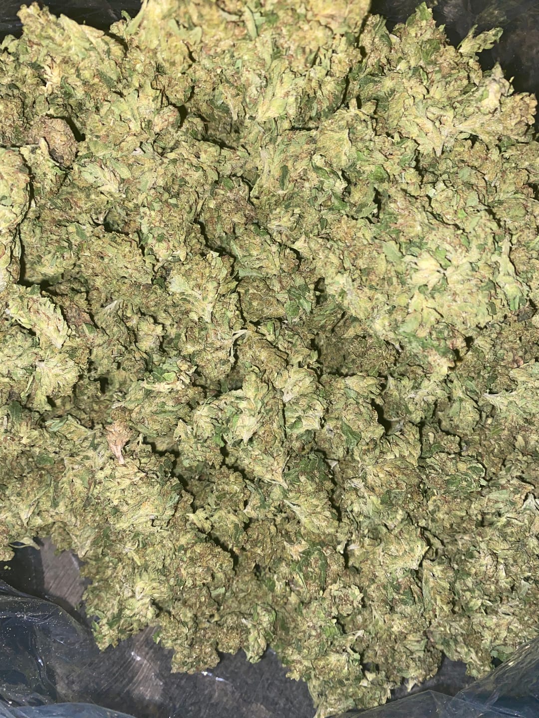 Customer photo review of Maui Wowie Minis - Bulk Minis - Sativa