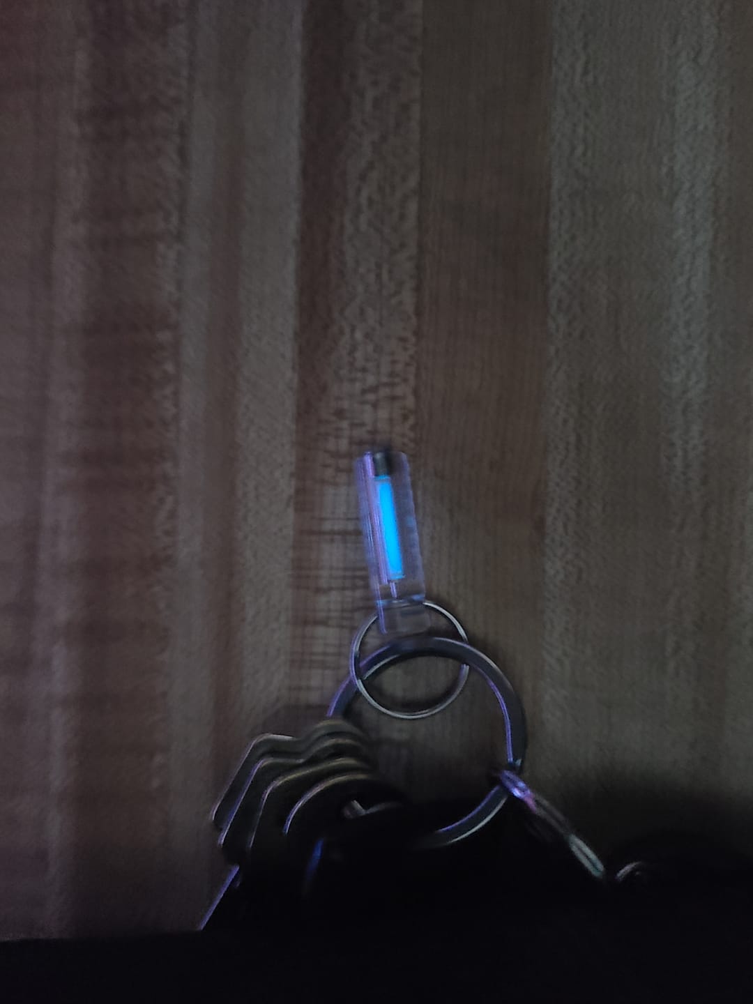 Customer photo review of Ember Glow Fob
