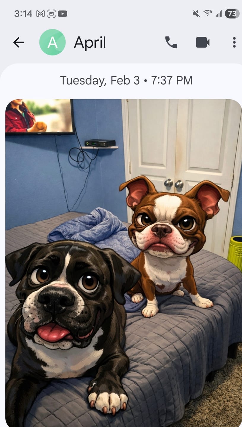Customer photo review of ENTRY PACK LEVEL 1