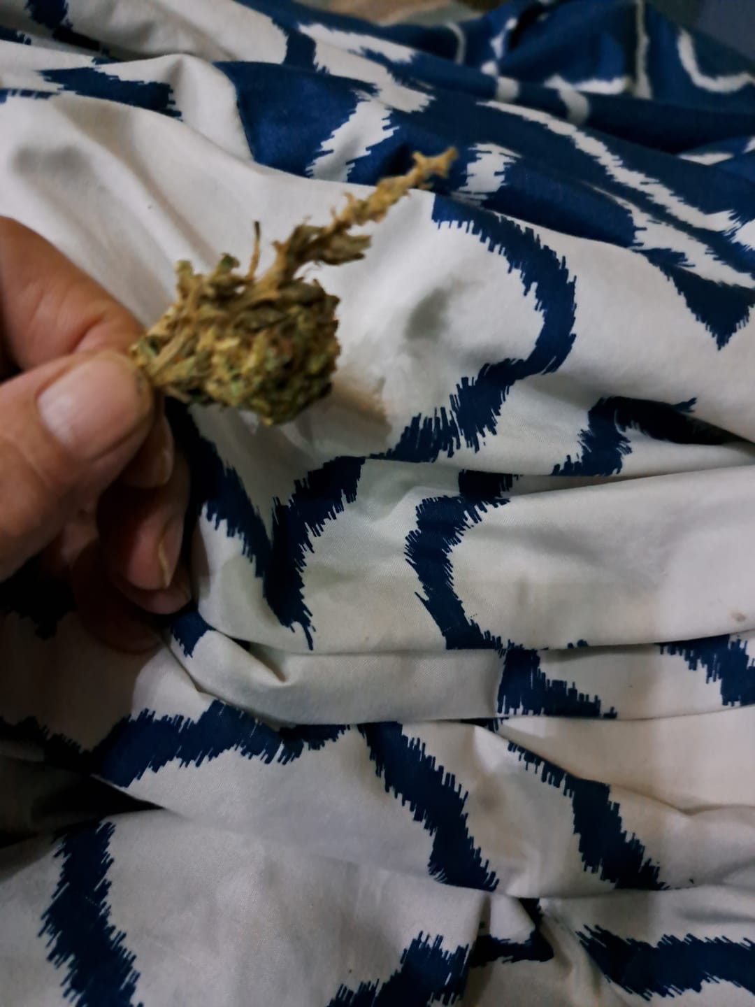 Customer photo review of Jager Sour Diesel - 14 Grams - Sativa