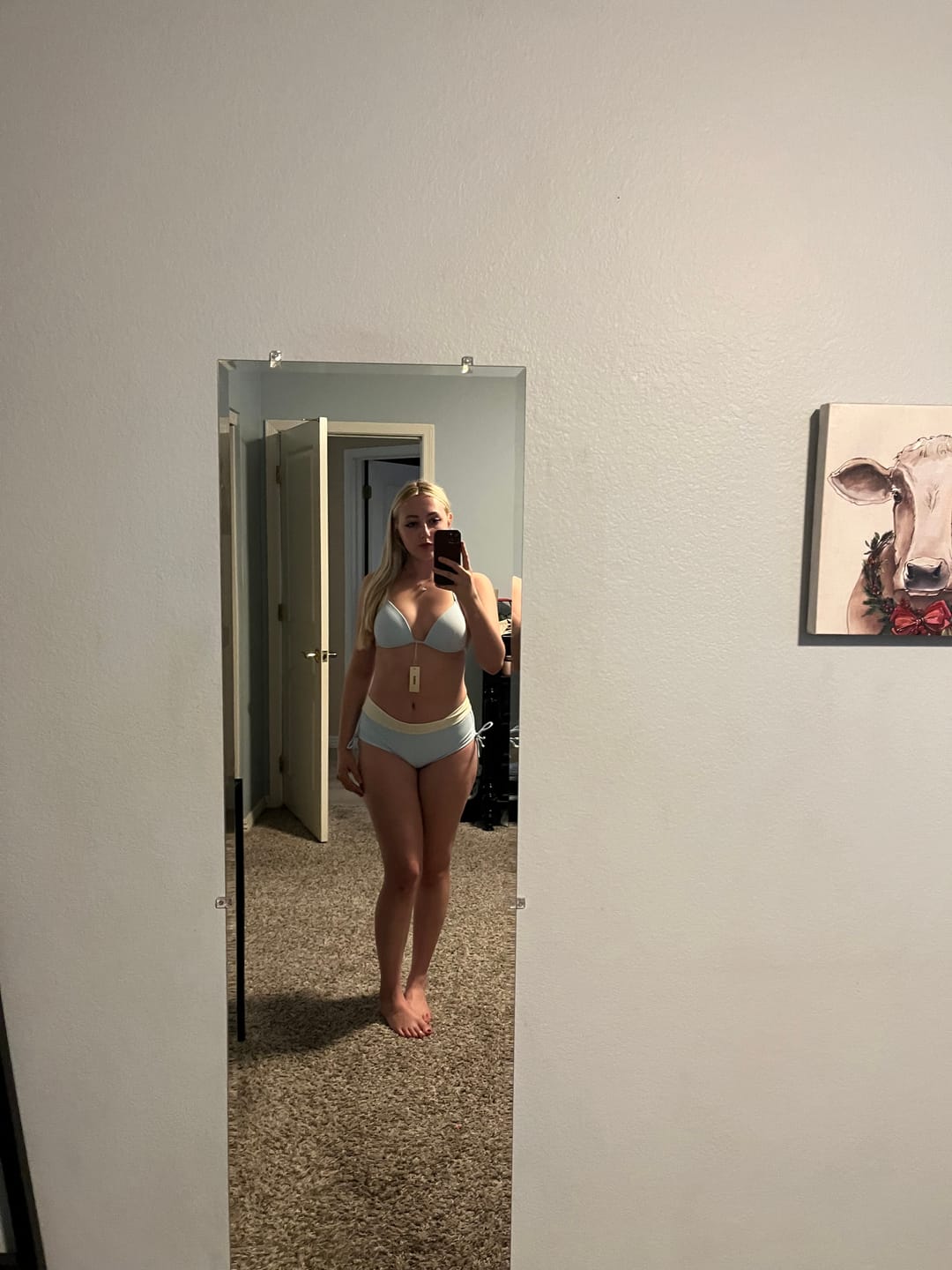 Customer photo review of Seamolly Colorblock Striped Halter Triangle Boyshorts Bikini Set