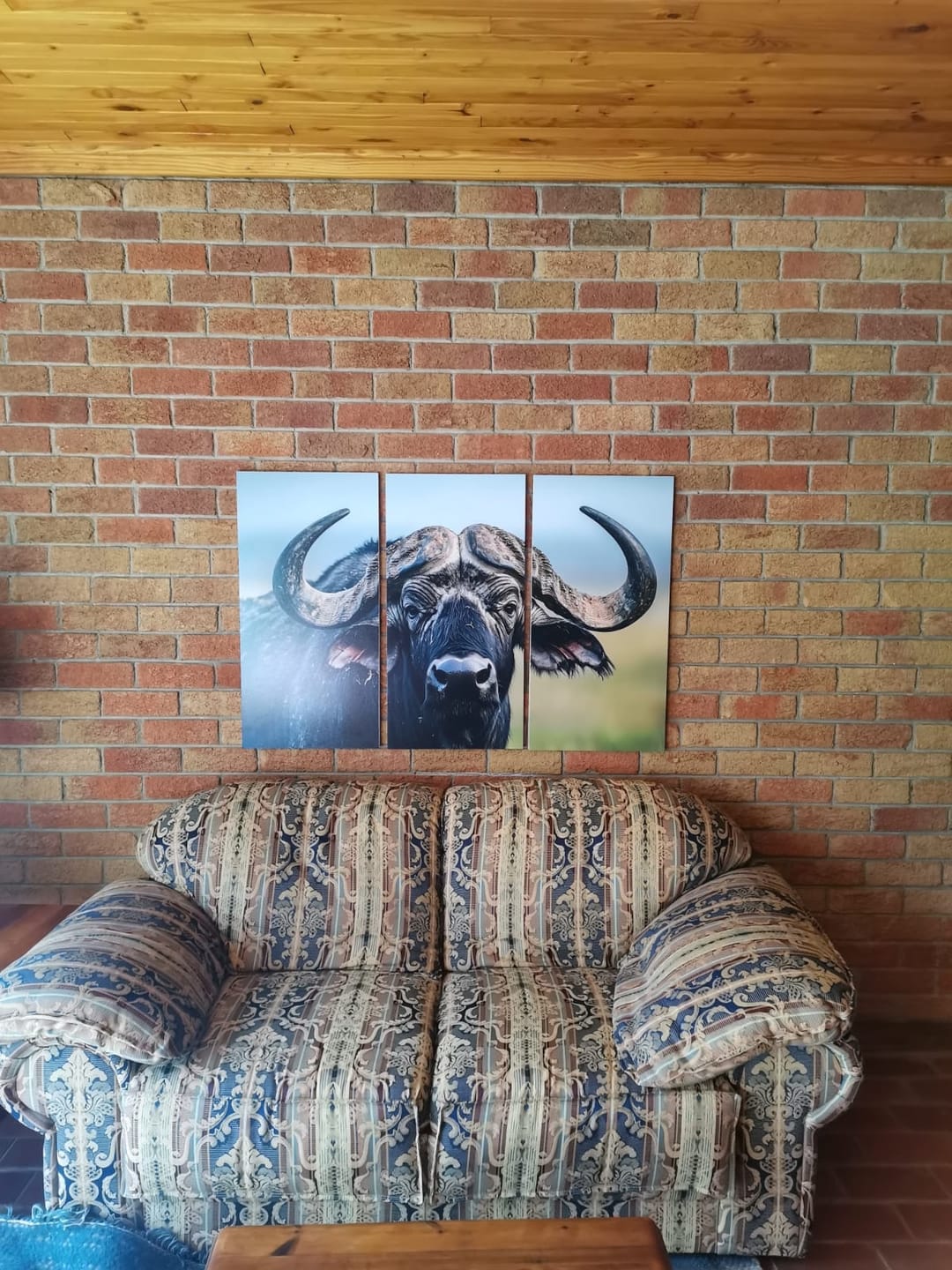 Customer photo review of Wooden Wall Art | 3 Set | Animal | Buffalo