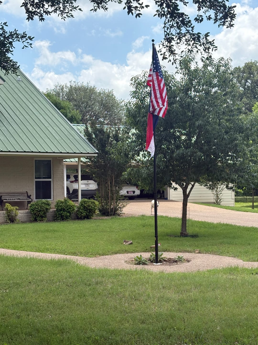 Customer photo review of 3' x 5' Texas Flag