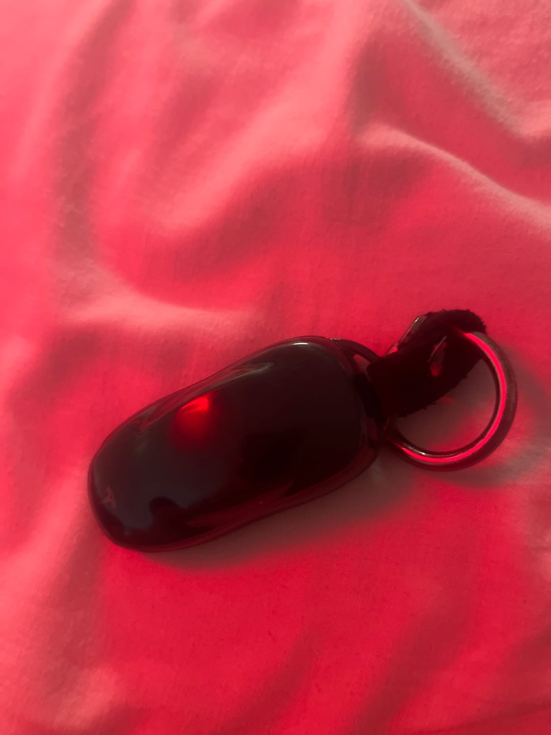 Customer photo review of Alloy and Leather Key Fob Cover for Tesla Model 3/Y/S/X