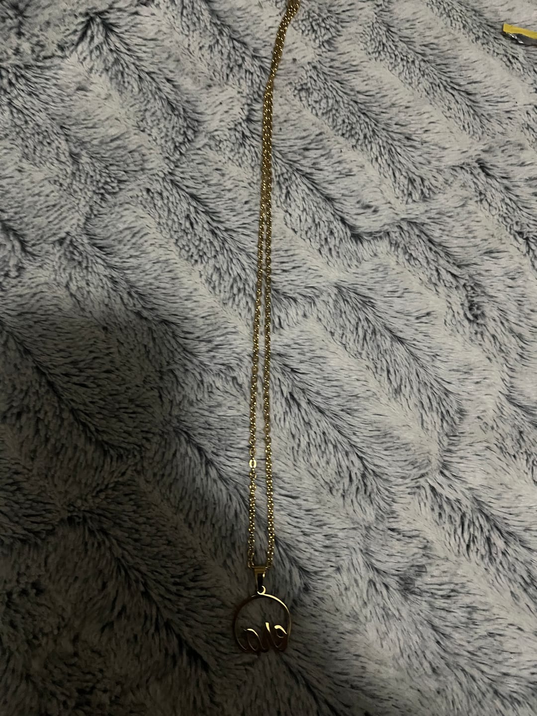 Customer photo review of Gold Era Necklace