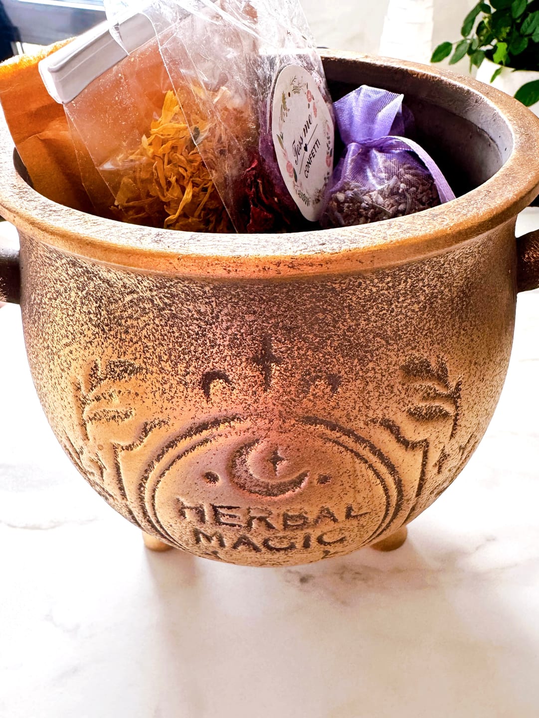 Customer photo review of Herbal Magic Kessel-Blumentopf – Terrakotta Pflanzenkessel in Bronzeoptik