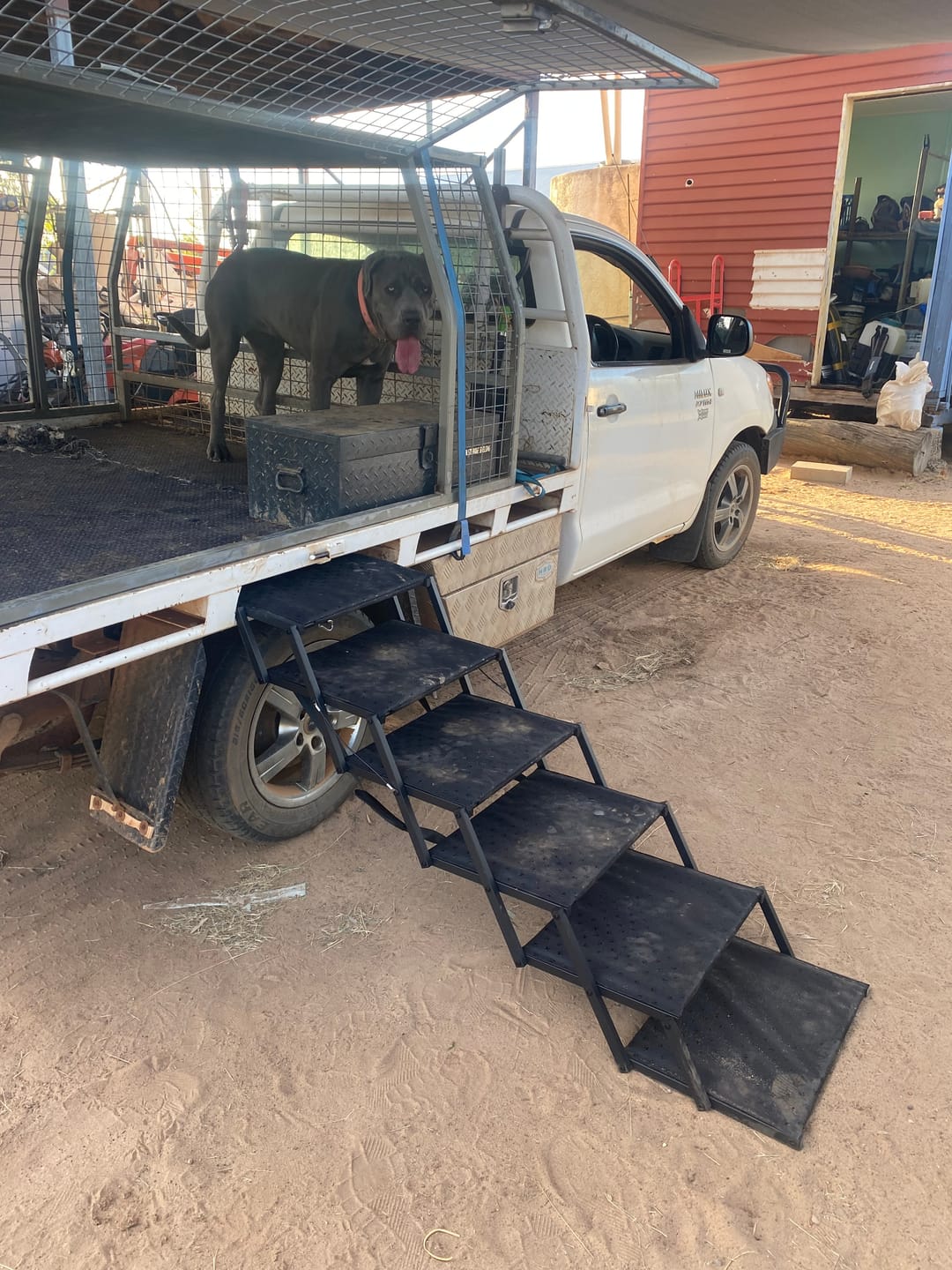 Customer photo review of Foldable Aluminum Pet Steps