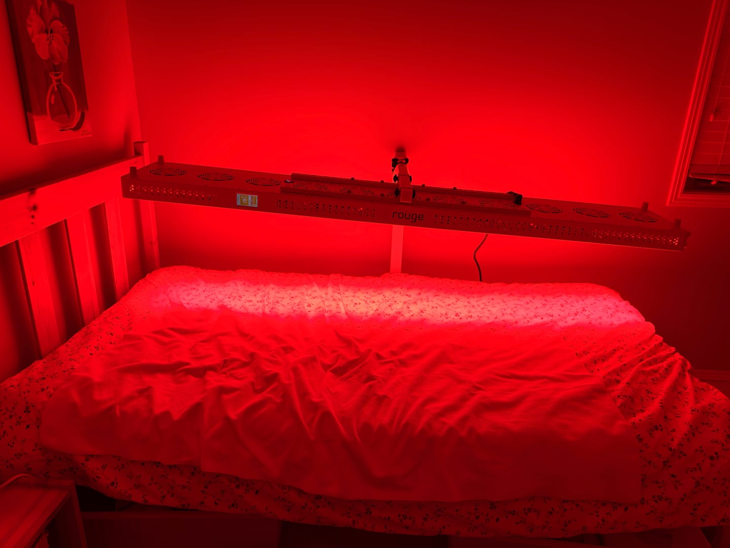 Customer photo review of Max Mounting Options