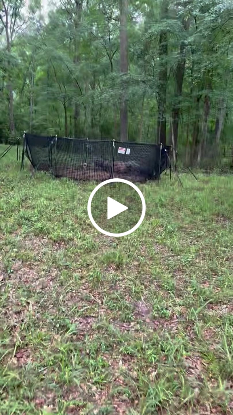 Customer video review of Pig Brig Trap System