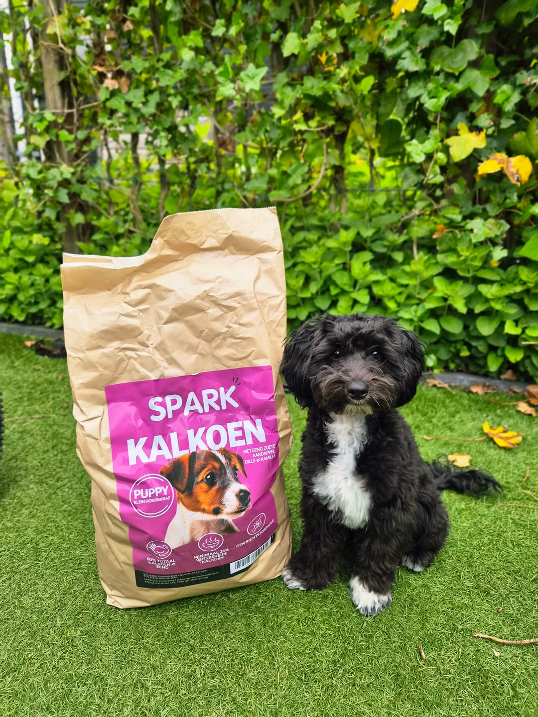 Customer photo review of Puppy - Klein - Kalkoen met Eend, Aardappel, Dille & Kamille