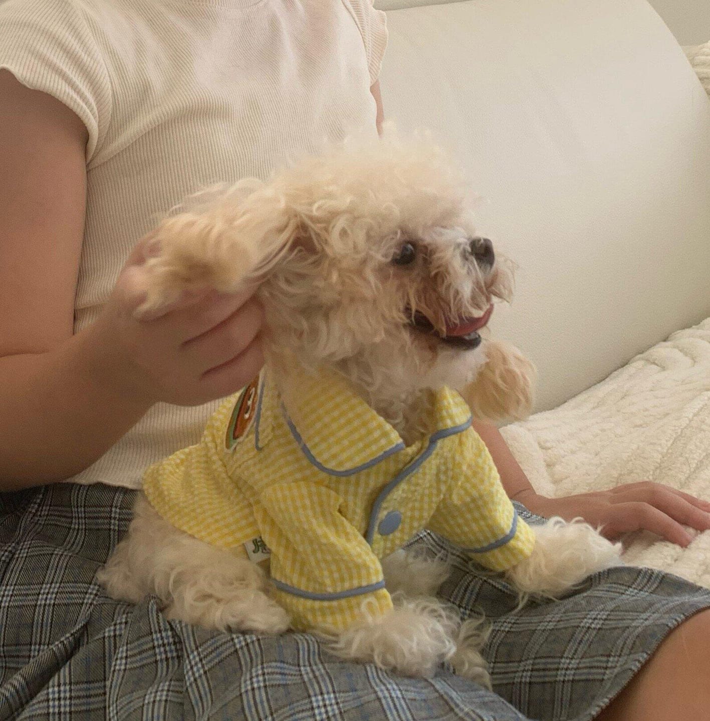 Customer photo review of Gingham Getaway Shirt