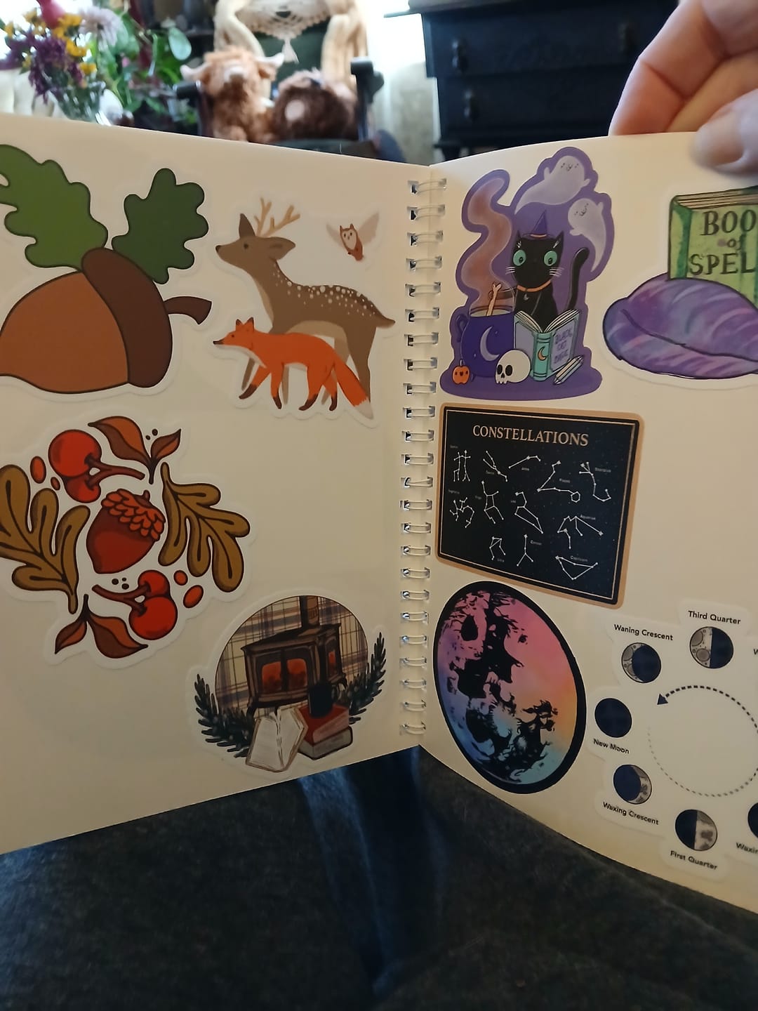 Customer photo review of Acorn berries fall sticker