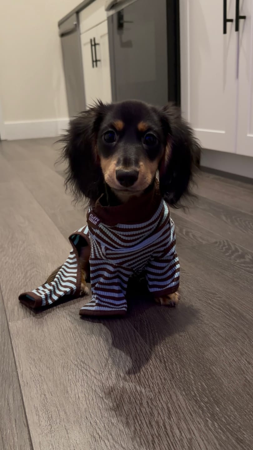 Customer photo review of Mint Choco Onesie