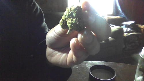 Customer photo review of Cheap THCA Smalls Ounce