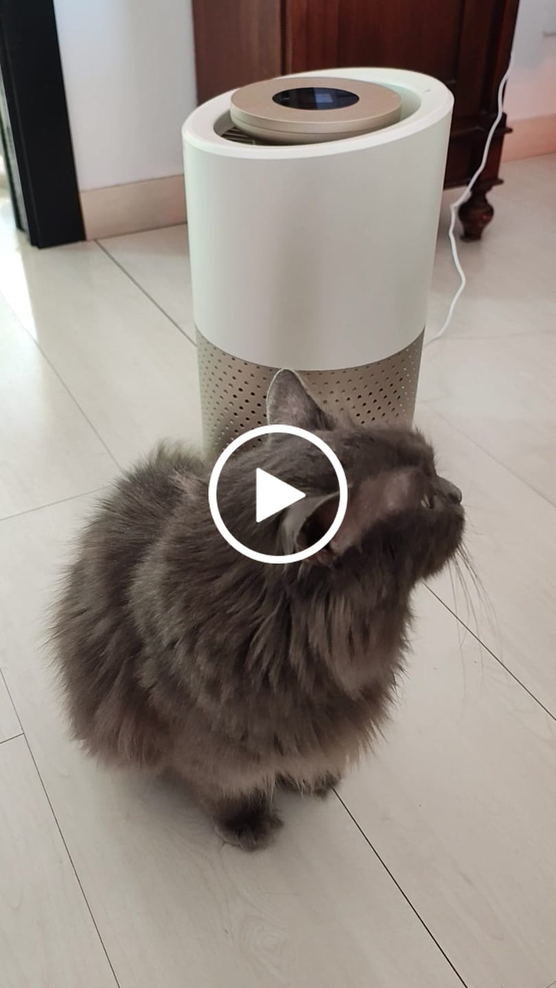 Customer video review of Pet Air Purifier